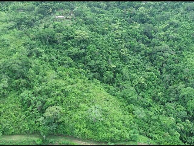#267790 - mini finca para Venta en Valencia - G