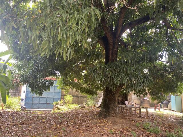 #271189 - Terreno para Venta en Valencia - G