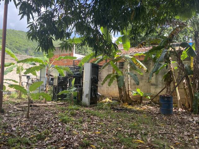 #271189 - Terreno para Venta en Valencia - G