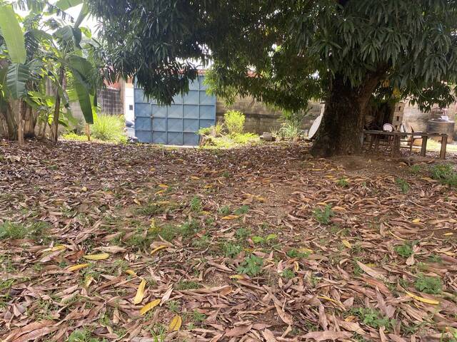 Terreno para Venta en Valencia - 4