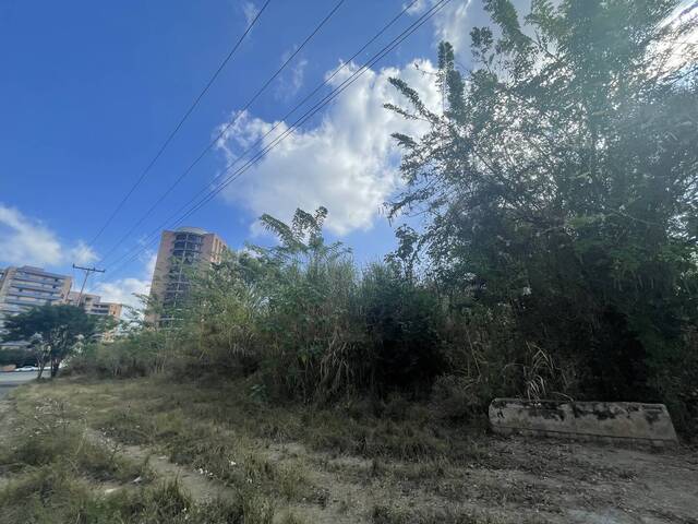 #272252 - Terreno para Venta en Valencia - G - 2