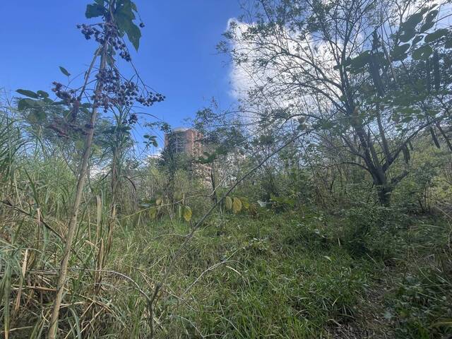 #272252 - Terreno para Venta en Valencia - G - 3