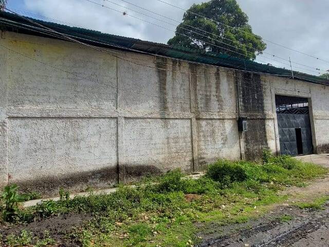 Alquiler en Casco Central -  Naguanagua