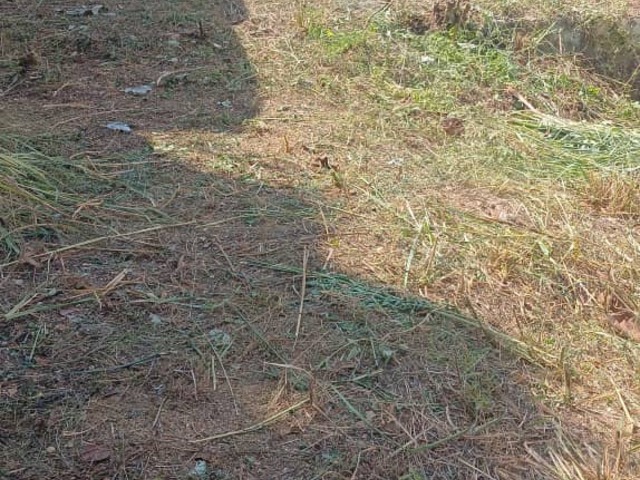 #25809 - Terreno para Venta en Valencia - G - 3