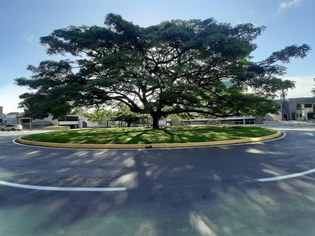 #283700 - Local / Casa Comercial para Venta en Valencia - G
