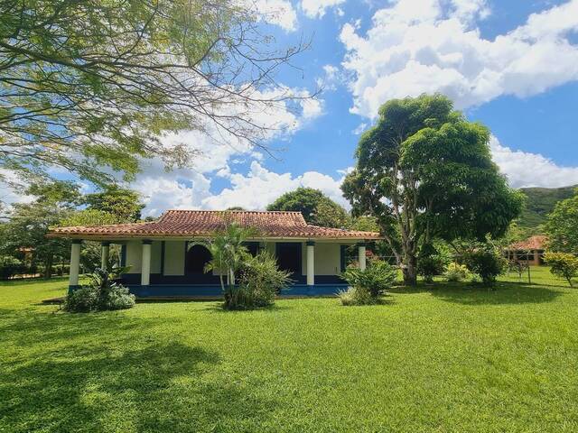 Venta en El paso - Montalbán