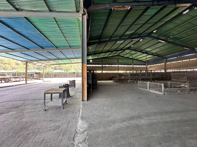 #297547 - Galpón para Venta en Puerto Cabello - G - 3
