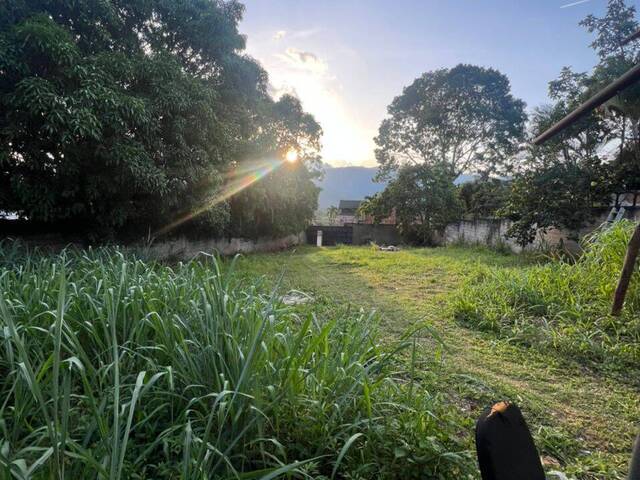 #299650 - Terreno para Venta en Valencia - G - 1