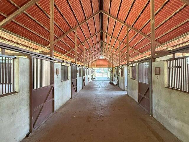 #282203 - Hacienda / Finca / Granja para Venta en Valencia - G - 3