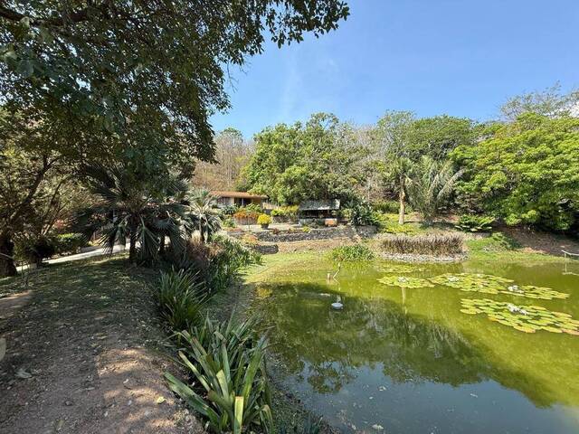 #282203 - Hacienda / Finca / Granja para Venta en Valencia - G - 2