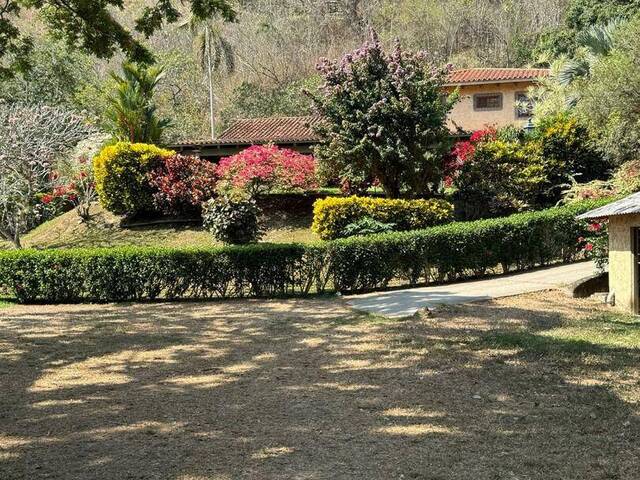 #282203 - Hacienda / Finca / Granja para Venta en Valencia - G - 1