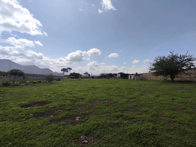 #305711 - Terreno para Venta en Valencia - G - 1