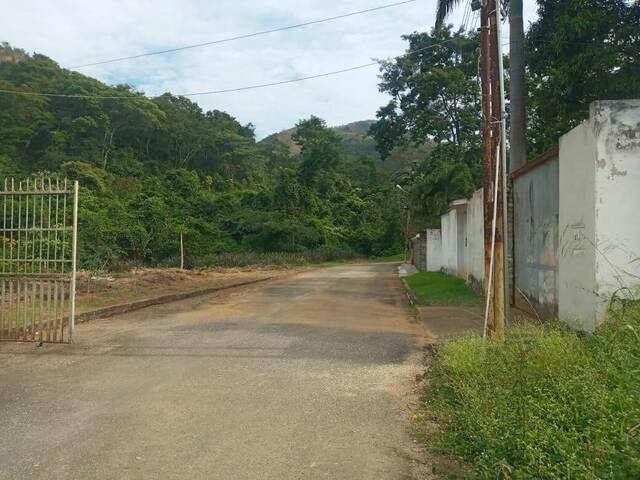 #311404 - Terreno para Venta en Valencia - G - 1