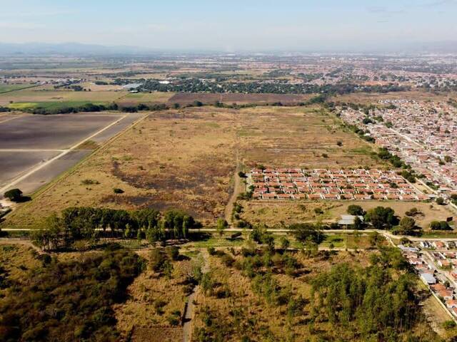 Terreno para Venta en Guacara - 5