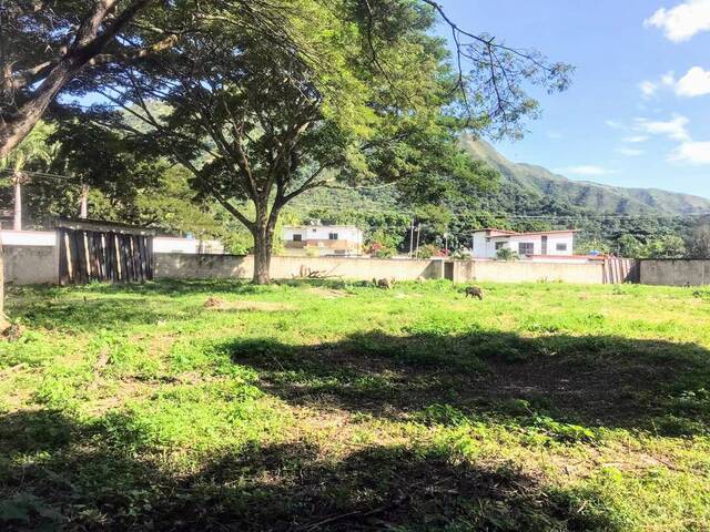 Mini finca para Venta en San Diego - 5