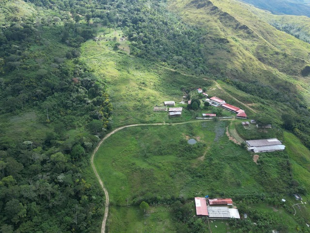 #316693 - mini finca para Venta en Bejuma - G