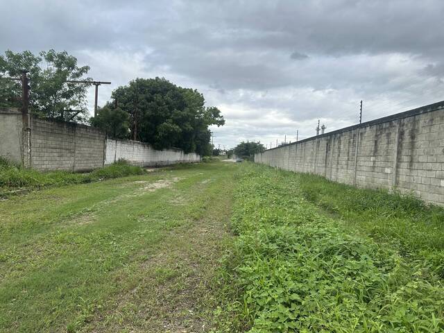 Terreno para Venta en Guacara - 2