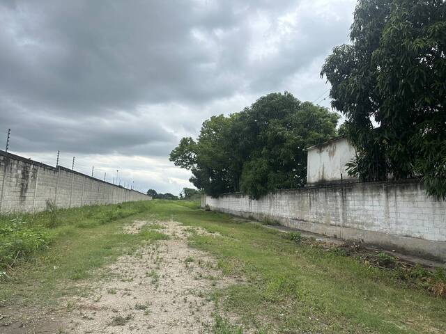 Terreno para Venta en Guacara - 4