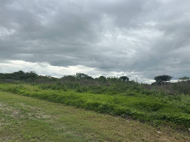 Terreno para Venta en Guacara - 5