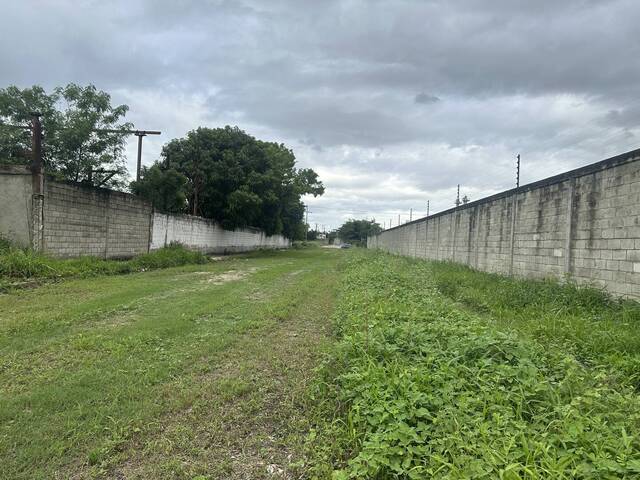Terreno para Venta en Guacara - 3