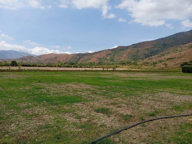 Hacienda / Finca / Granja para Venta en Bejuma - 4