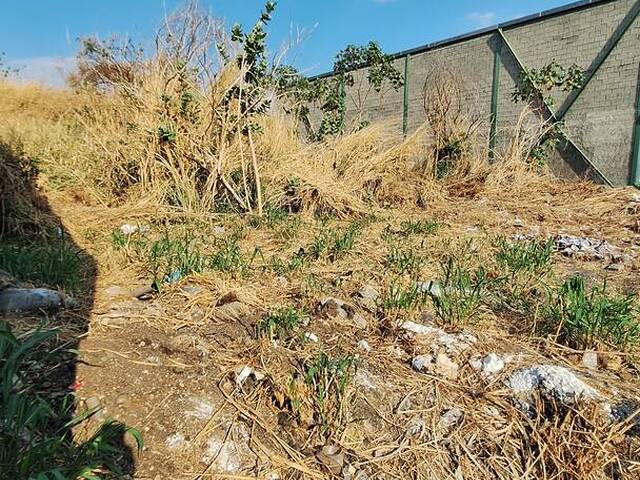Terreno para Venta en San Diego - 4