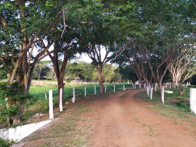 Mini finca para Venta en Bejuma - 2