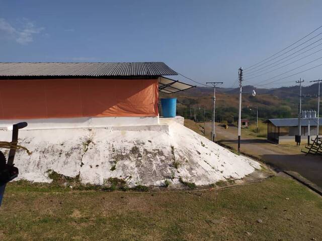 Mini finca para Venta en Bejuma - 4