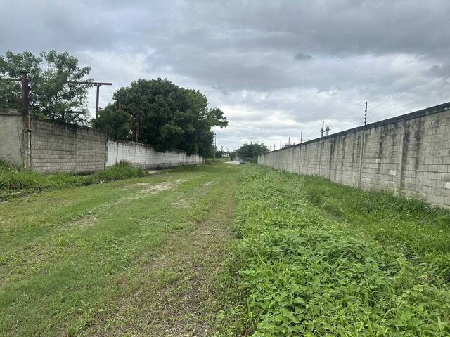 Terreno para Venta en Guacara - 2