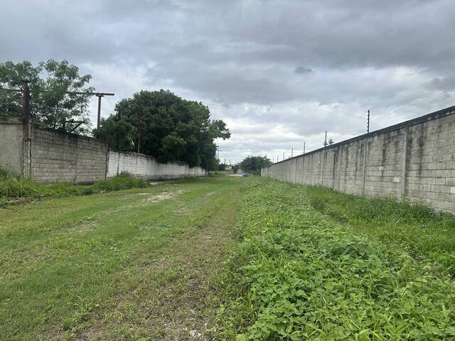 Terreno para Venta en Guacara - 3