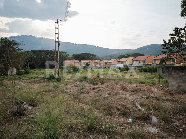 Terreno para Venta en Valencia - 3