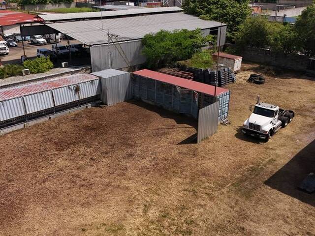 Terreno para Alquiler en Guacara - 2