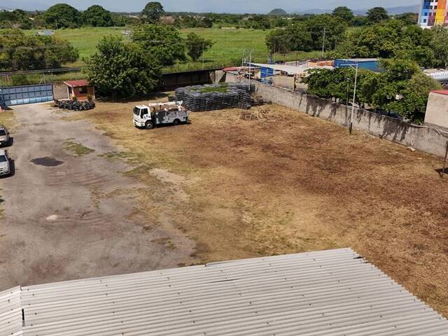 Terreno para Alquiler en Guacara - 3