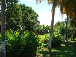 Terreno para Venta en San Joaquín - 4