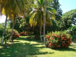 Terreno para Venta en San Joaquín - 5